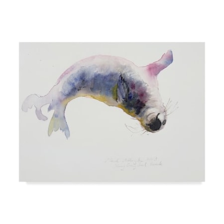 Mark Adlington 'Young Grey Seal' Canvas Art,14x19